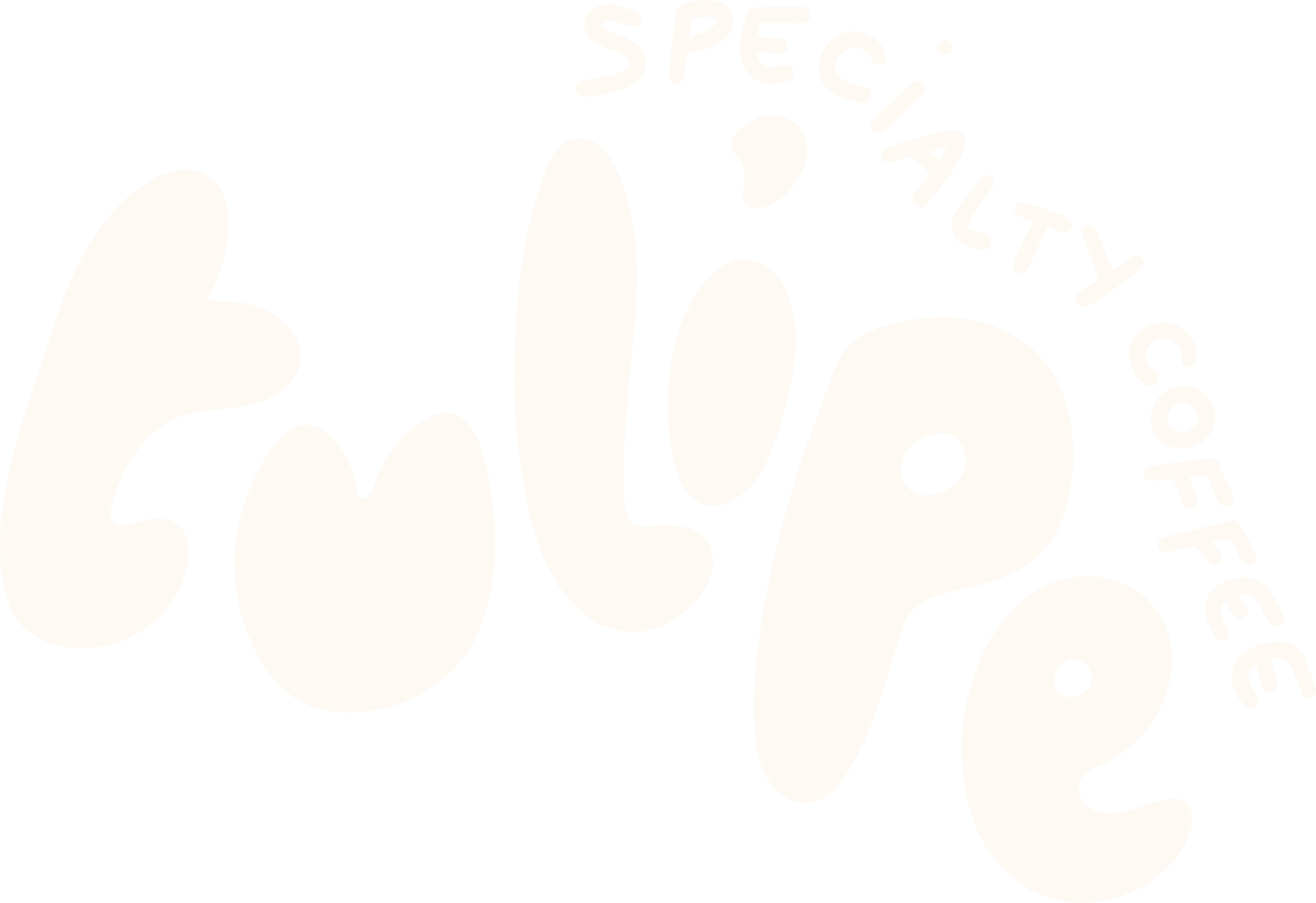 Tulipe Specialty Coffee